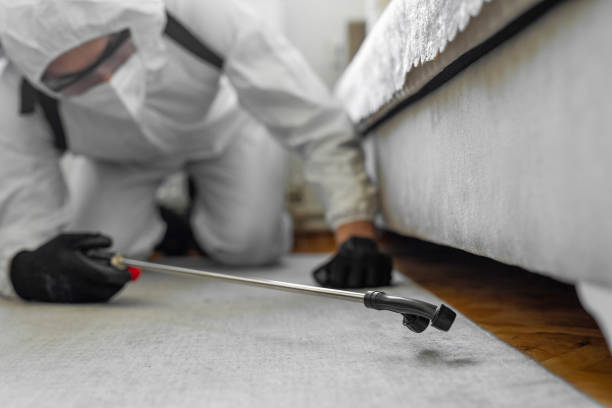Professional Bed Bug Control technician working in Chincoteague, VA