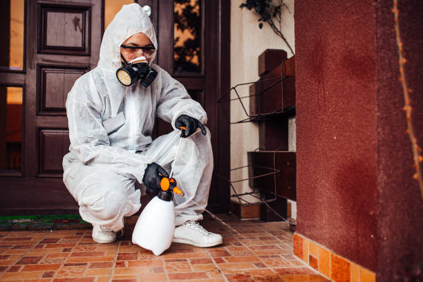 Reliable Bed Bug Control contractor in Chincoteague, VA by Nex Pest Control